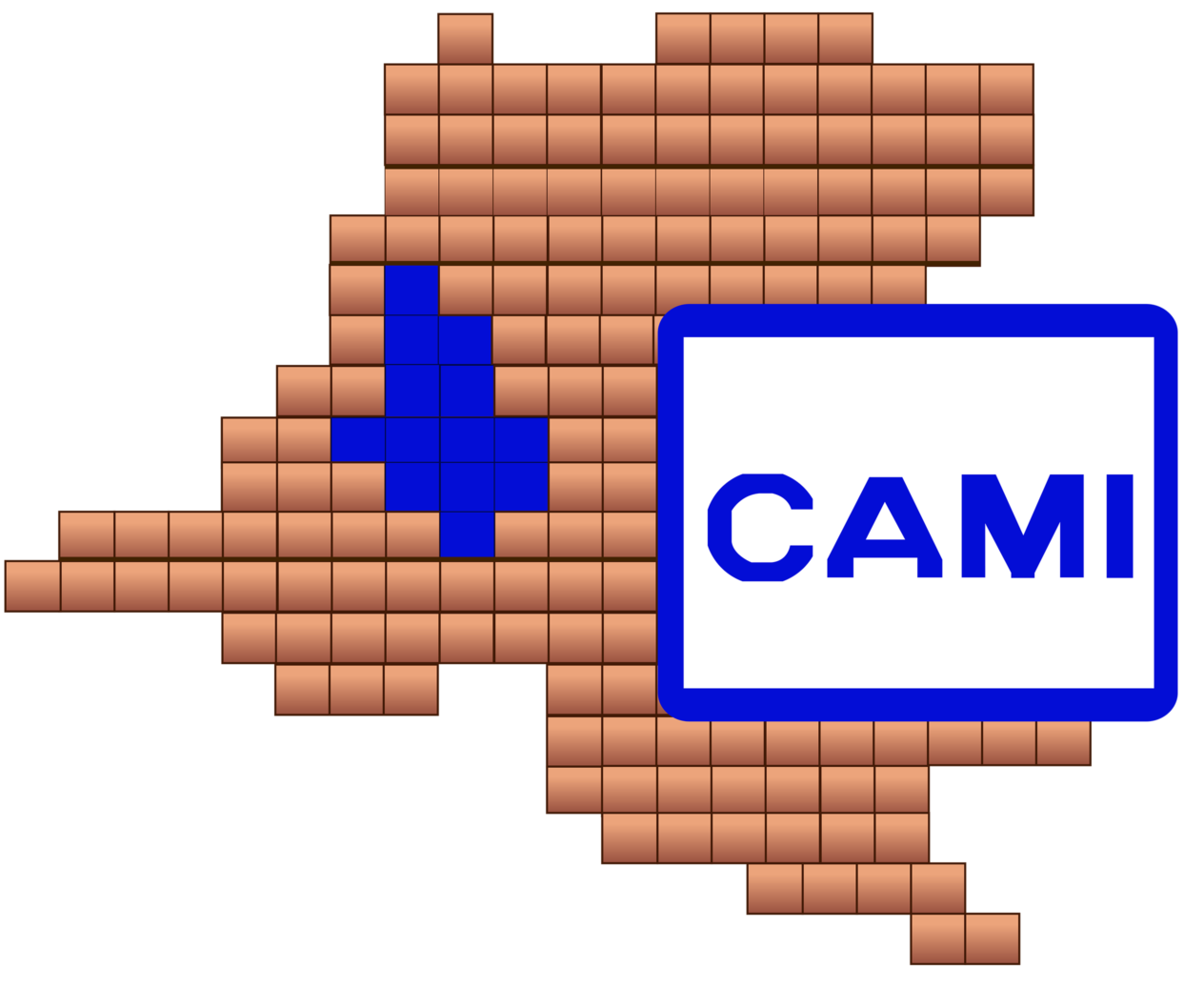 CAMI — Cadastre Minier
